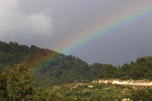 Rainbow in the sky over the forest. photo