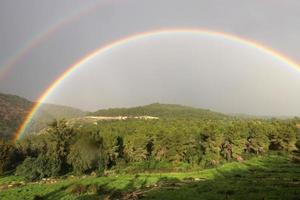 Rainbow in the sky over the forest. photo