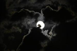 Moon and clouds in the sky over the sea photo