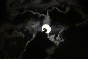 luna y nubes en el cielo sobre el mar foto