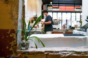 enfoque selectivo en el pequeño árbol que crece en el vaso con un barista borroso haciendo el café en el fondo foto