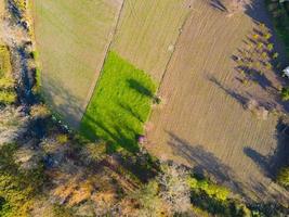 Impresionante vista del campo desde el aire. pueblo verde foto