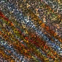 Abstract leopard design background,Colorful animal skin texture,Textile leopard design fabric photo