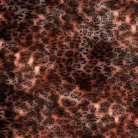 Abstract leopard design background,Colorful animal skin texture,Textile leopard design fabric photo