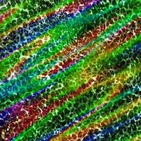 Abstract leopard design background,Colorful animal skin texture,Textile leopard design fabric photo