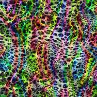 Abstract leopard design background,Colorful animal skin texture,Textile leopard design fabric photo