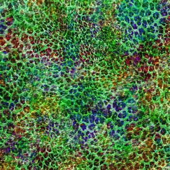 Leopard skin pattern abstract style,Textile and fashion fabric,Vintage style texture,Animal skin background,Leopard designed textile print pattern,Abstract leopard texture design photo