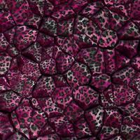 Abstract leopard design background,Colorful animal skin texture,Textile leopard design fabric photo