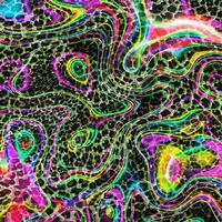 Abstract leopard design background,Colorful animal skin texture,Textile leopard design fabric photo