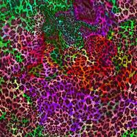 Abstract leopard design background,Colorful animal skin texture,Textile leopard design fabric photo