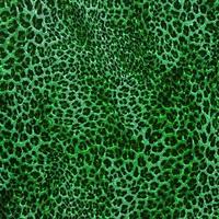 Abstract leopard design background,Colorful animal skin texture,Textile leopard design fabric photo