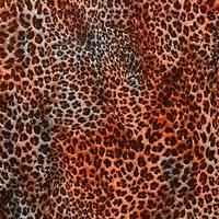 Leopard skin pattern abstract style,Textile and fashion fabric,Vintage style texture,Animal skin background,Leopard designed textile print pattern,Abstract leopard texture design photo