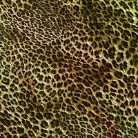 Abstract leopard design background,Colorful animal skin texture,Textile leopard design fabric photo