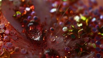 Close-up Of water drop with glitter on it in different colorful loghts in Karachi Pakistan 2022 photo