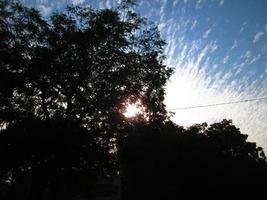 cielo azul y silueta de árboles durante el día en karachi pakistán 2022 foto