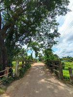 Natural beauty photo in rural area, Bangladesh.