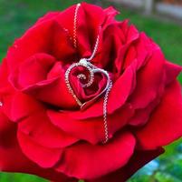 Delicate Diamond heart Shape over rose photo