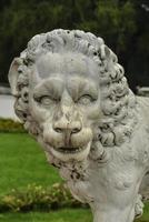 estatua de león de mármol del palacio arkhangelskoye foto