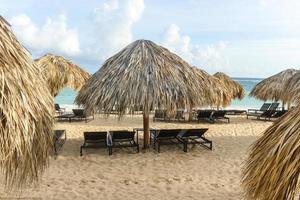 Beach Umbrella of Palm, Dominican Republic photo