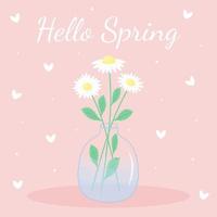 Daisies in the transparent vase. Hello spring lettering. Greeting card. vector