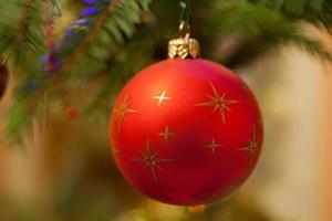 Christmas bauble on christmas tree photo