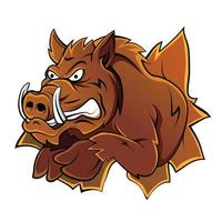 Wild Boar Head Illustration vector