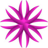 lotus flower isolated on white background vector