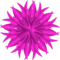 pink flower isolated on white vector