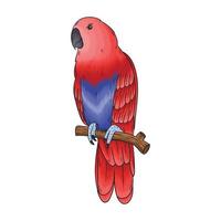 vector parrot, this bird has a beautiful color