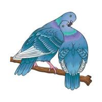 vector of two doves with big love