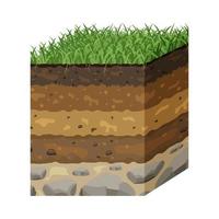suelo en capas en la sección. estructura de la superficie terrestre. perfil subterráneo vector