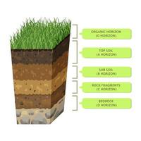 suelo en capas en la sección. nivel de humus infografía de la estructura de la tierra. perfil subterráneo de forma volumétrica vector