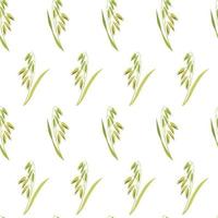 Botanical seamless background. Pattern of ears of oats on white background. Texture from cereal plants for design of kitchen tablecloths, baking packaging. vector