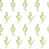 Botanical seamless background. Pattern of ears of oats on white background. Texture from cereal plants for design of kitchen tablecloths, baking packaging. vector