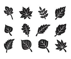 Dry autumn fall leaf doodle icon vector