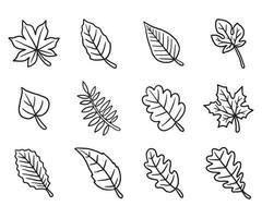 Dry autumn fall leaf doodle icon vector