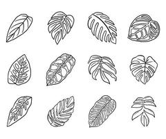 Tropical plant leaf doodle icon vector