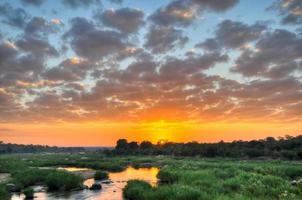 Sunrise at Kruger National Park photo