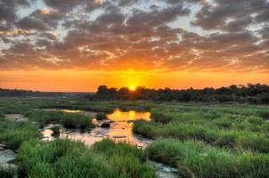 Sunrise at Kruger National Park photo