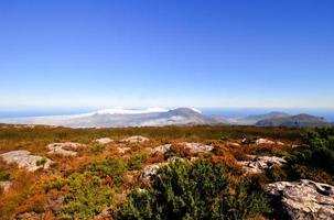 Table Mountain in Cape Town photo