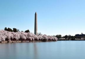 Monumento a Washington en Washington DC, EE. foto