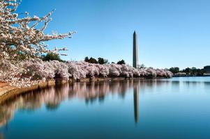 Monumento a Washington en Washington DC, EE. foto
