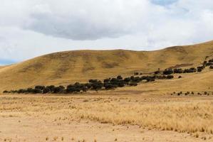 View along the Cusco-Puno Road, Peru photo