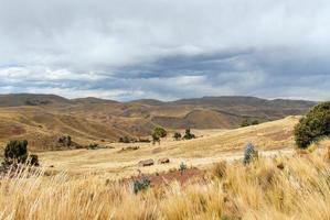 vista a lo largo de la carretera cusco-puno, perú foto