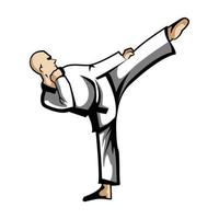 Men Karate Kick Illustration vector