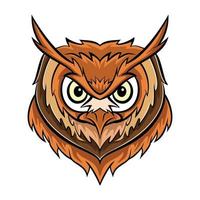 Owl Head Vector Illustration Design