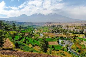 Inca Garden and Misti Volcano - Arequipa, Peru photo