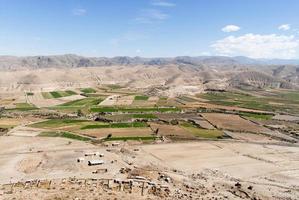 terrazas de campo del cañón del colca, perú foto