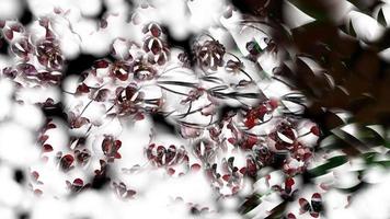 Botanical Bubbly Abstract Background Digital Rendering photo