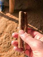 cigarro recién enrollado de una plantación de tabaco en el valle de viñales, al norte de cuba. foto